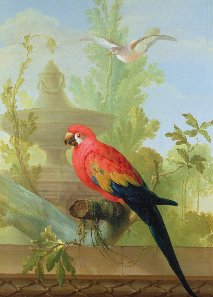 En ara och en duva i en prydnadsträdgård, 1772 av Gerrit van den Heuvel