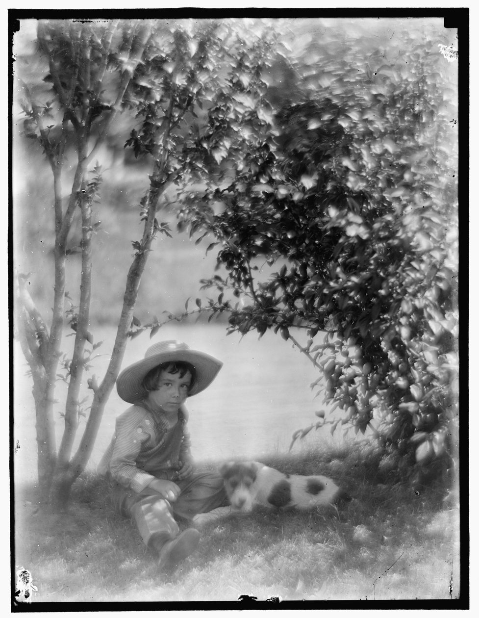 Pojke med hund av Gertrude Käsebier