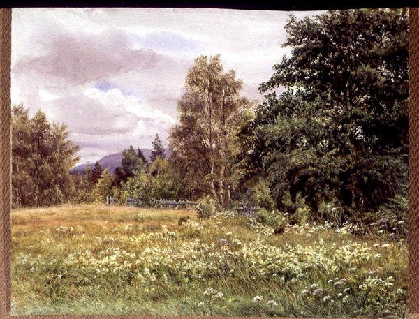 Ängssöt nära Polchar, Aviemore, Skottland av Gertrude Martineau