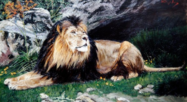 A Barbary or Atlas Lion, ca 1890-1900 (olja på duk) av Geza Vastagh