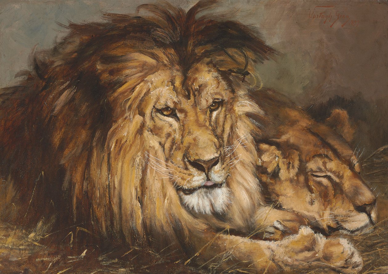 Skiss för "Lion and Lioness Resting", 1899 av Geza Vastagh