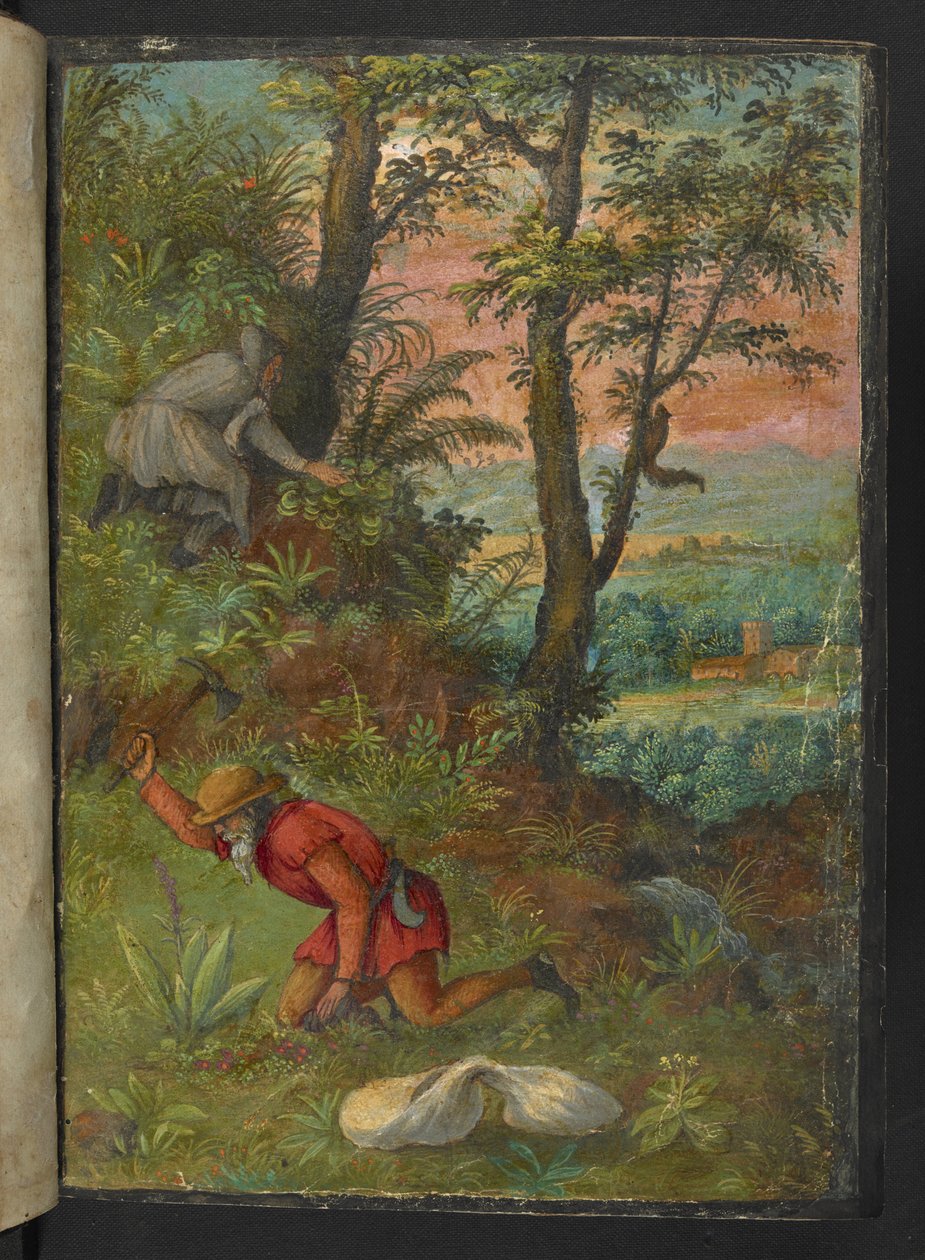 Två män i ett skogsområde, gräver efter växter, från "Paintings of Flora of the Roman States" av Gherardo Cibo, Add MS 22333, f003r, c.1564-84 (akvarell & gouache på papper) av Gherardo Cibo
