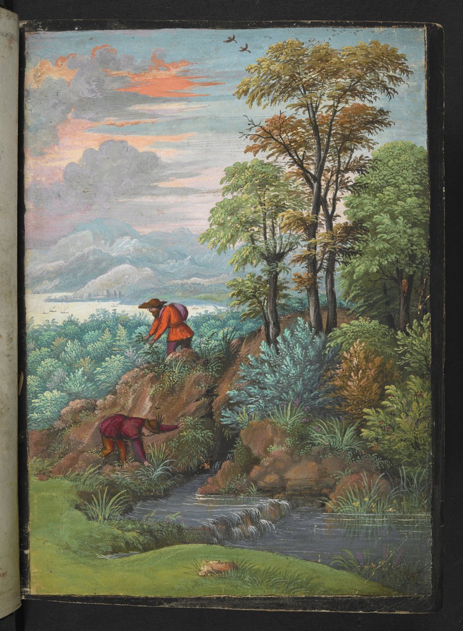 Två män letar efter växter i ett skogsområde, från "Paintings of Flora of the Roman States" av Gherardo Cibo, Add MS 22333, f006r, c.1564-84 (akvarell & gouache på papper) av Gherardo Cibo