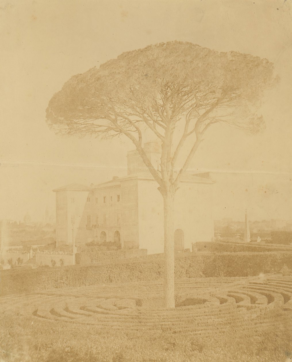 [Träd i formell trädgård utanför Palazzo], 1860-70-tal. av Giacomo Caneva