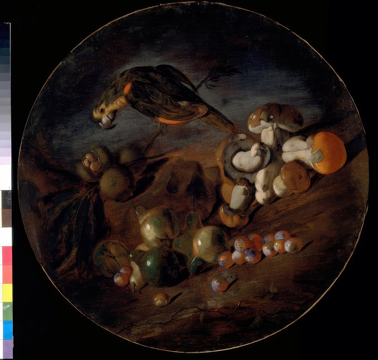 Stilleben med svamp, frukt och en papegoja av Giacomo Fardella de Calvello