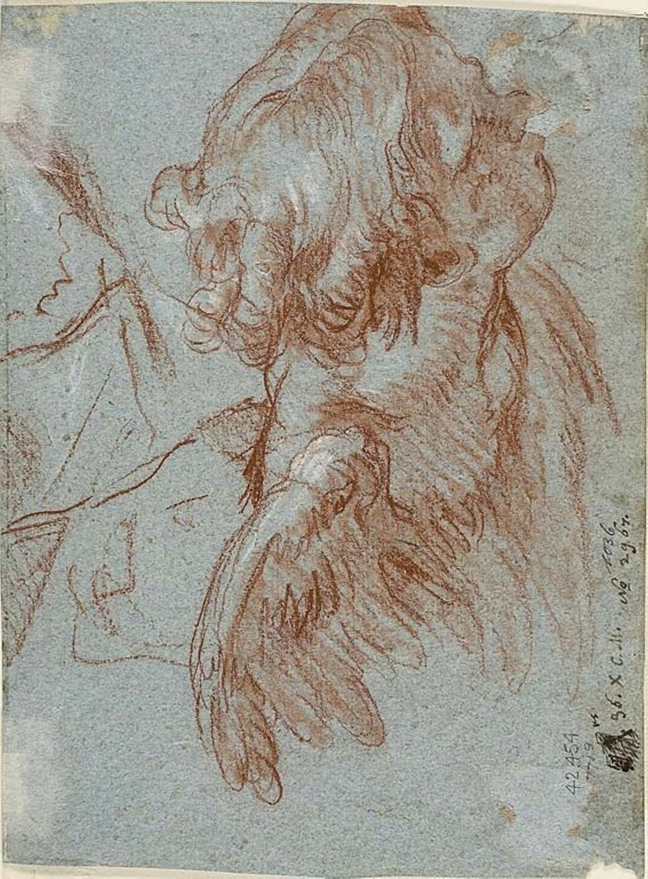 Studera för detaljer: Chef för en kerub av Giambattista Tiepolo