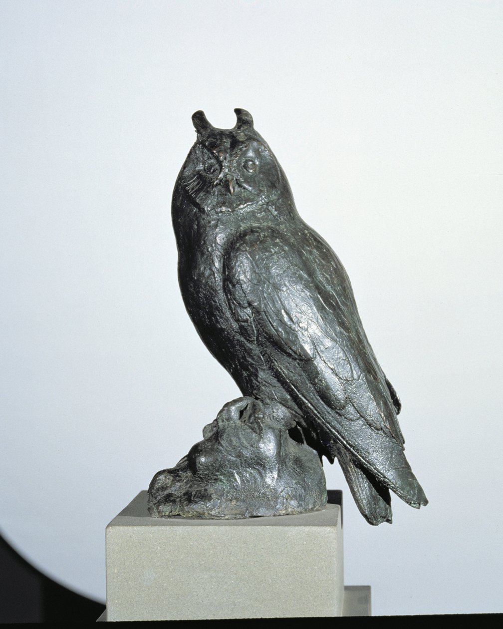 Uggla (brons) av Giambologna