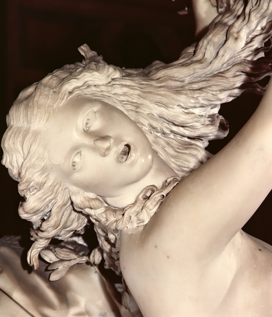 Apollo och Daphne, detalj av Daphnes huvud, 1622-25 marmor av Gian Lorenzo Bernini