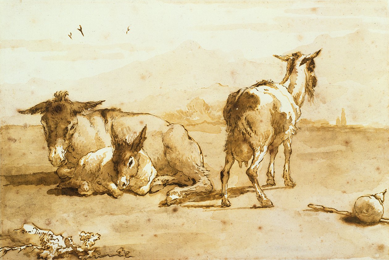 PD.32-1959 To æsler og en ged i et landskab (pen og brunt blæk med vask på papir) av Giovanni Domenico Tiepolo