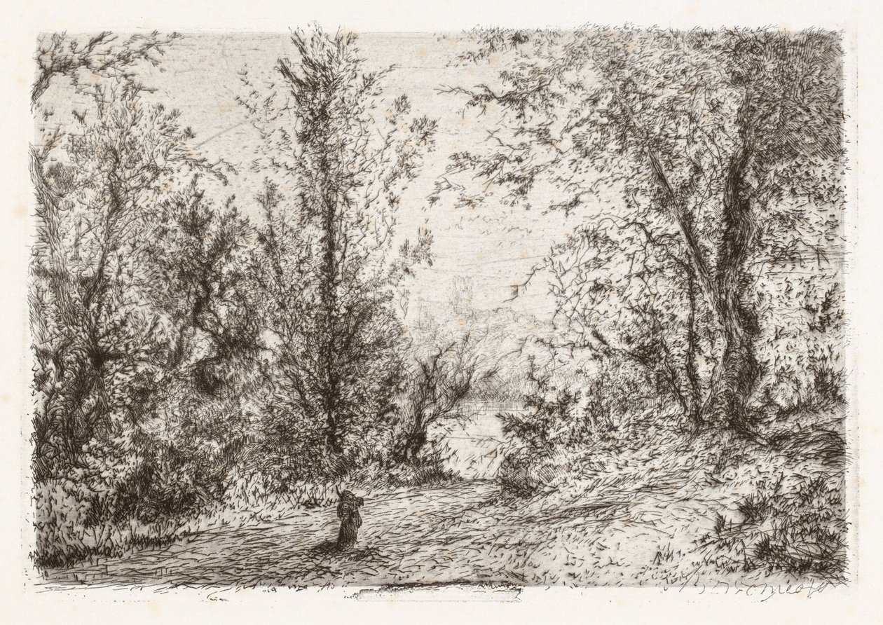 Skog vid Lago Maggiore [Skog vid Lago Maggiore] av Giberto Borromeo