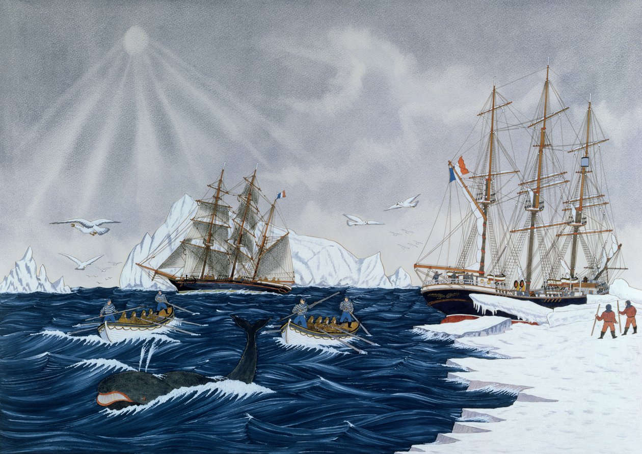 Valfiske, 1800-talet (färggravyr) av Gilbert Pajot