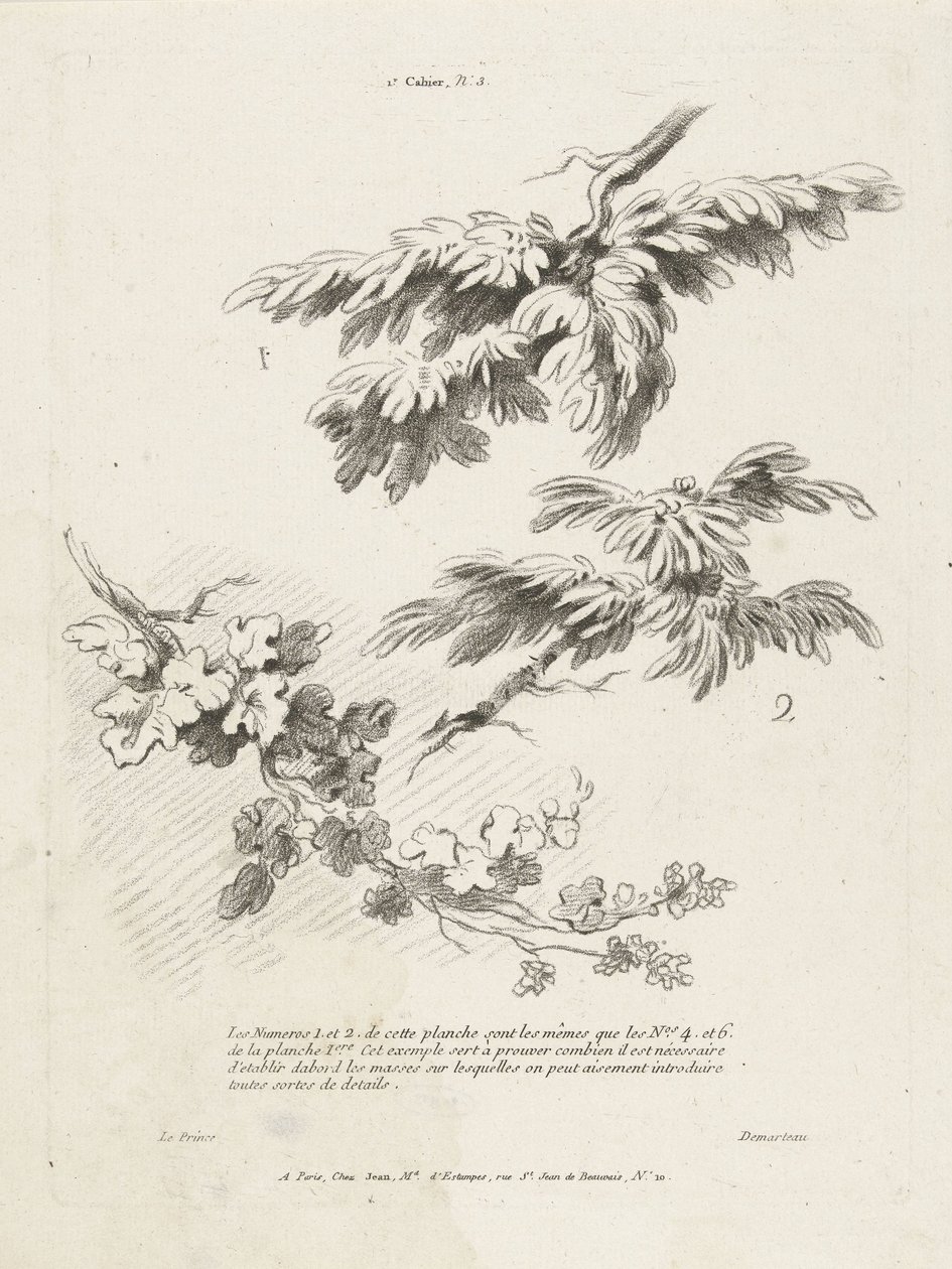Studie av tre grenar med löv 1er Cahier de paysage (serietitel) av Gilles Demarteau