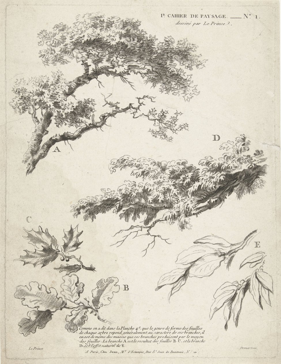 Studie av grenar med löv 1er Cahier de paysage (serietitel) av Gilles Demarteau