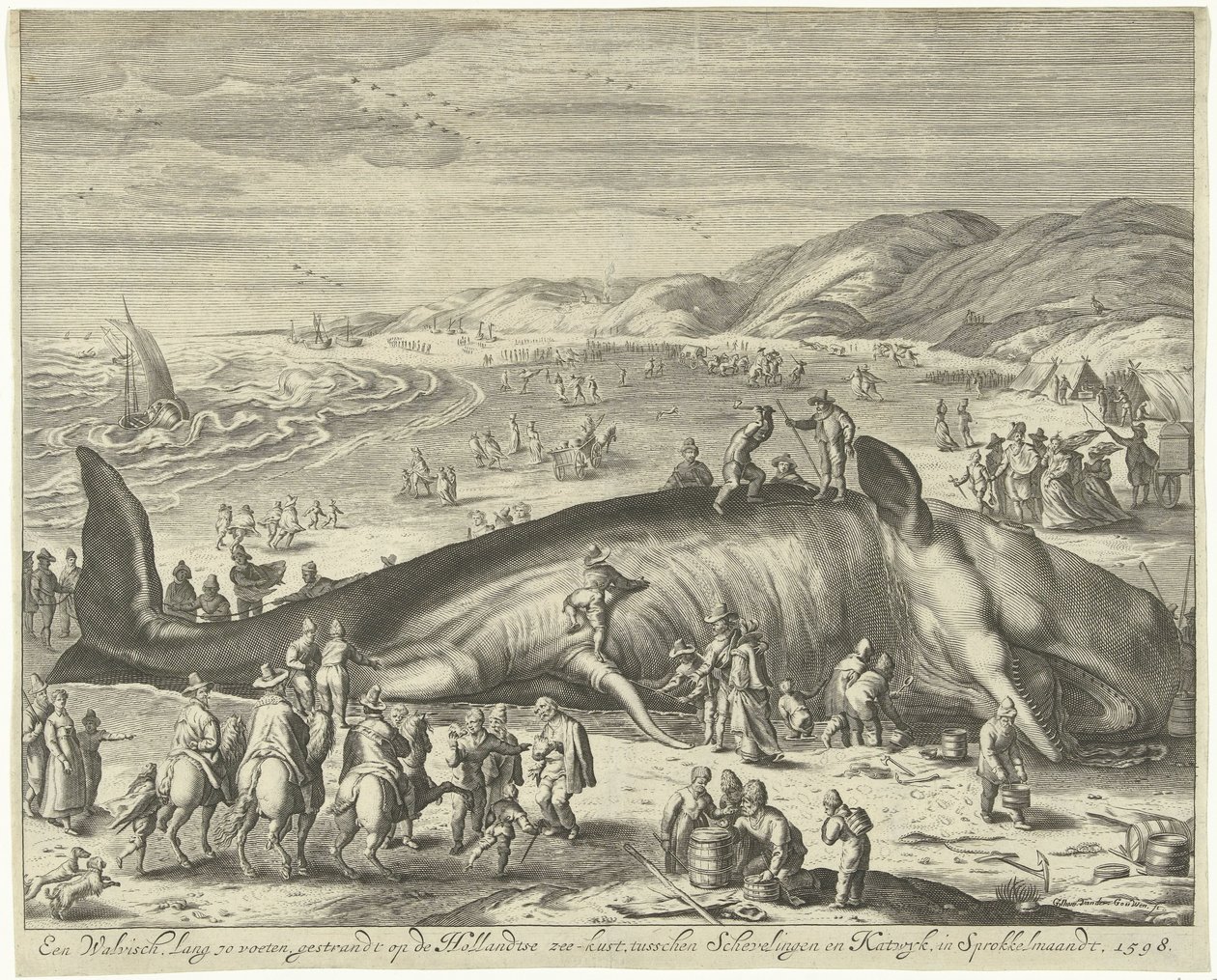 Strandad val vid Berckhey, 1598 En val 70 fot lång, strandad vid den holländska havskusten, mellan Schevelingen och Katwyk, i Sprokkelmaandt, 1598 (titel på objektet) av Gilliam van der Gouwen