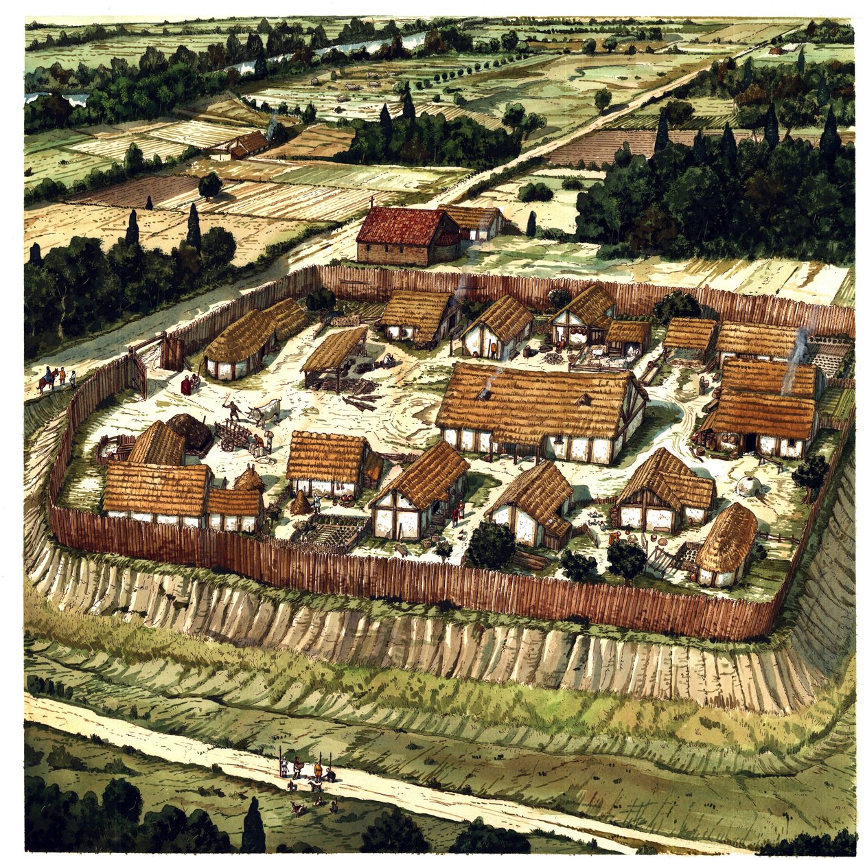 Medeltiden: rekonstruktion av en Motte (illustration) av Giorgio Albertini