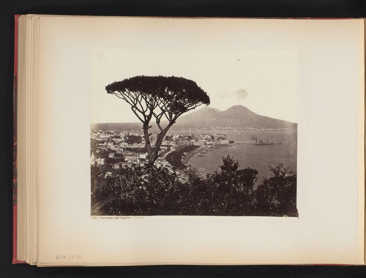 Vy över Neapel, Italien, med en tall i förgrunden Panoramadalen Vomero Napoli (titel på objektet) av Giorgio Sommer