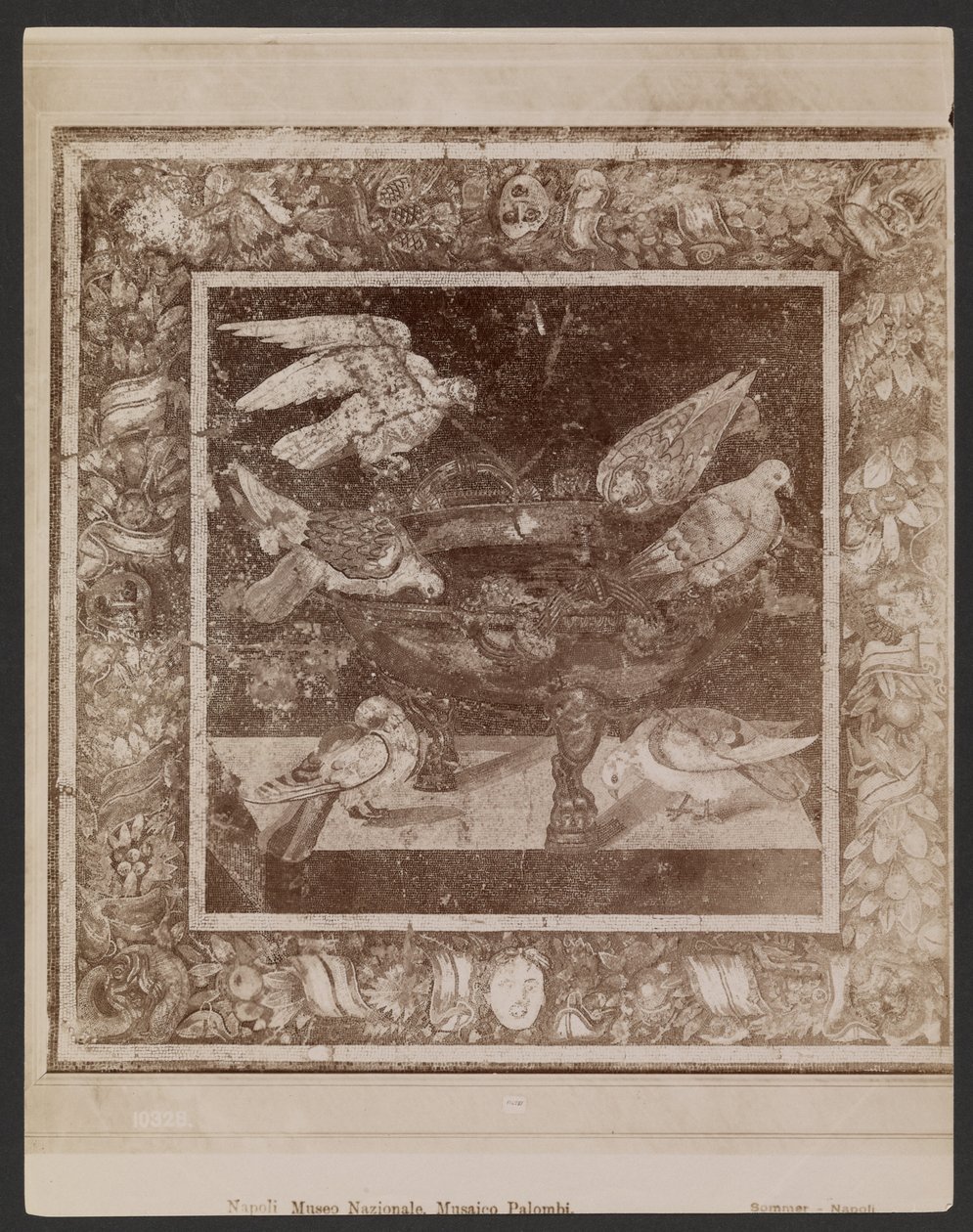 Palombi-mosaik, Neapels nationalmuseum av Giorgio Sommer