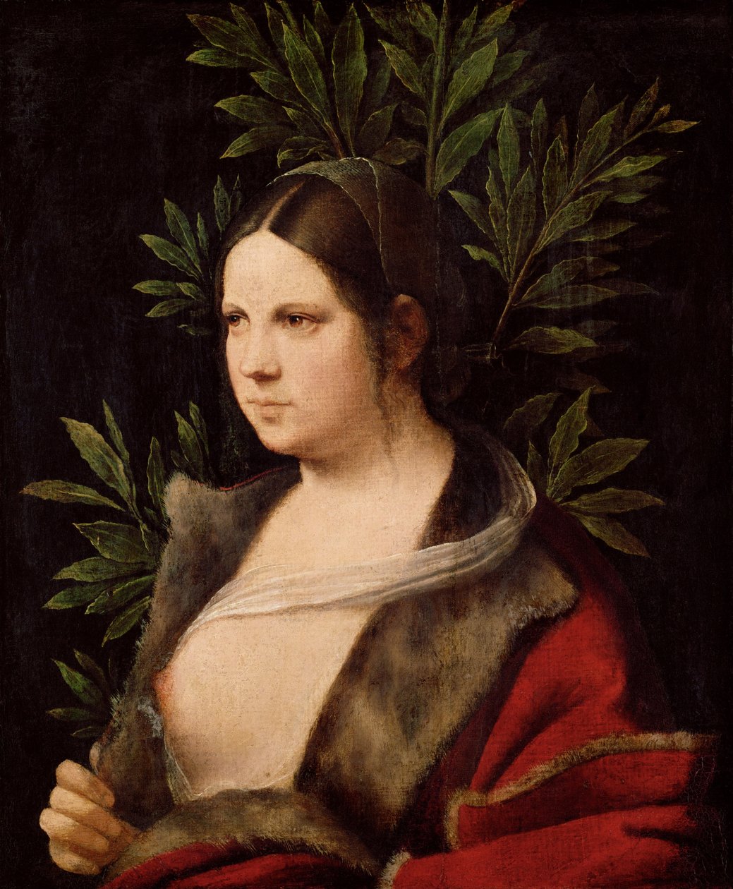 Ung kvinna Laura, 1506 av Giorgione da Castelfranco