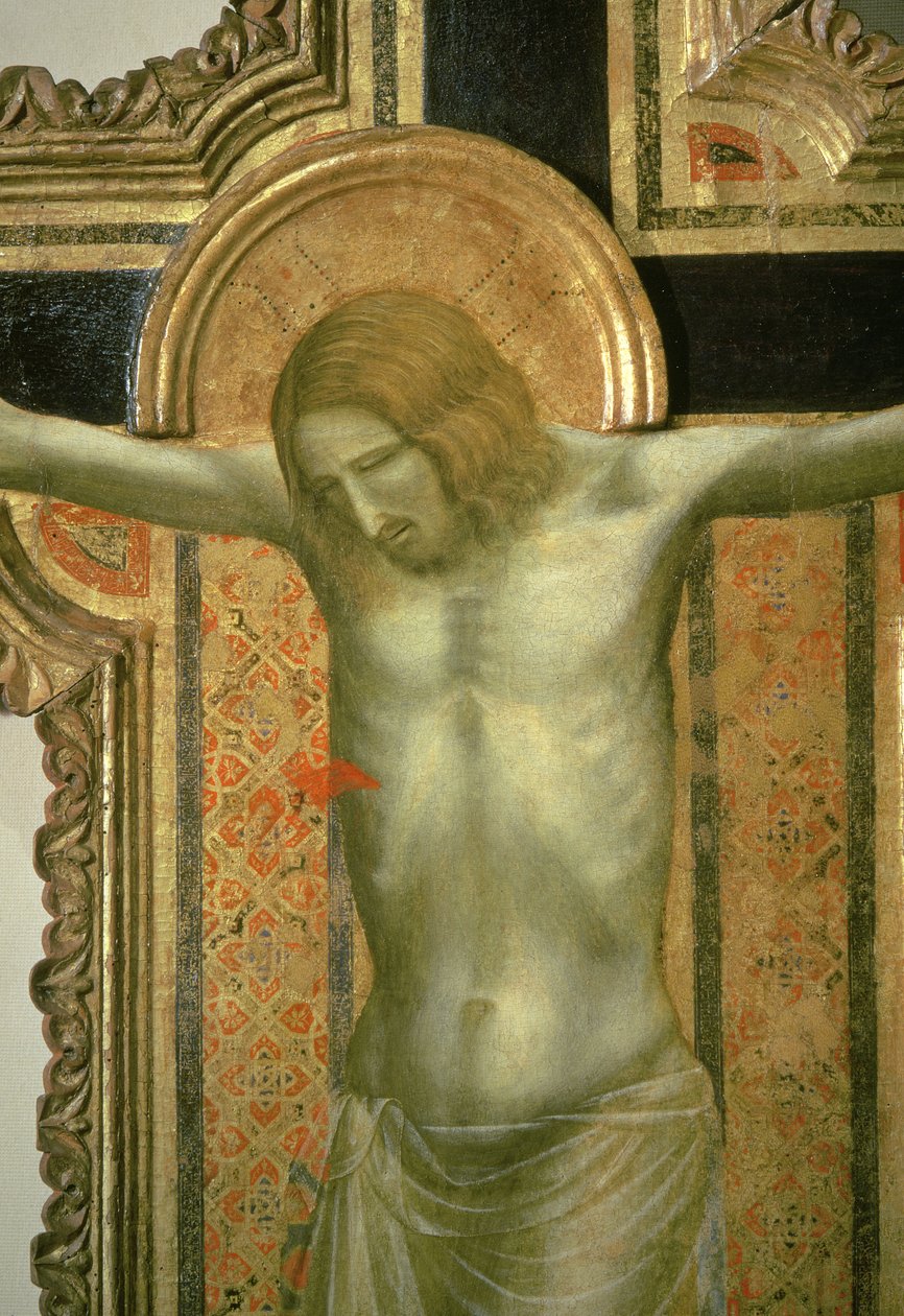Krucifix, detalj av Kristus, 1317 tempera på panel av Giotto di Bondone