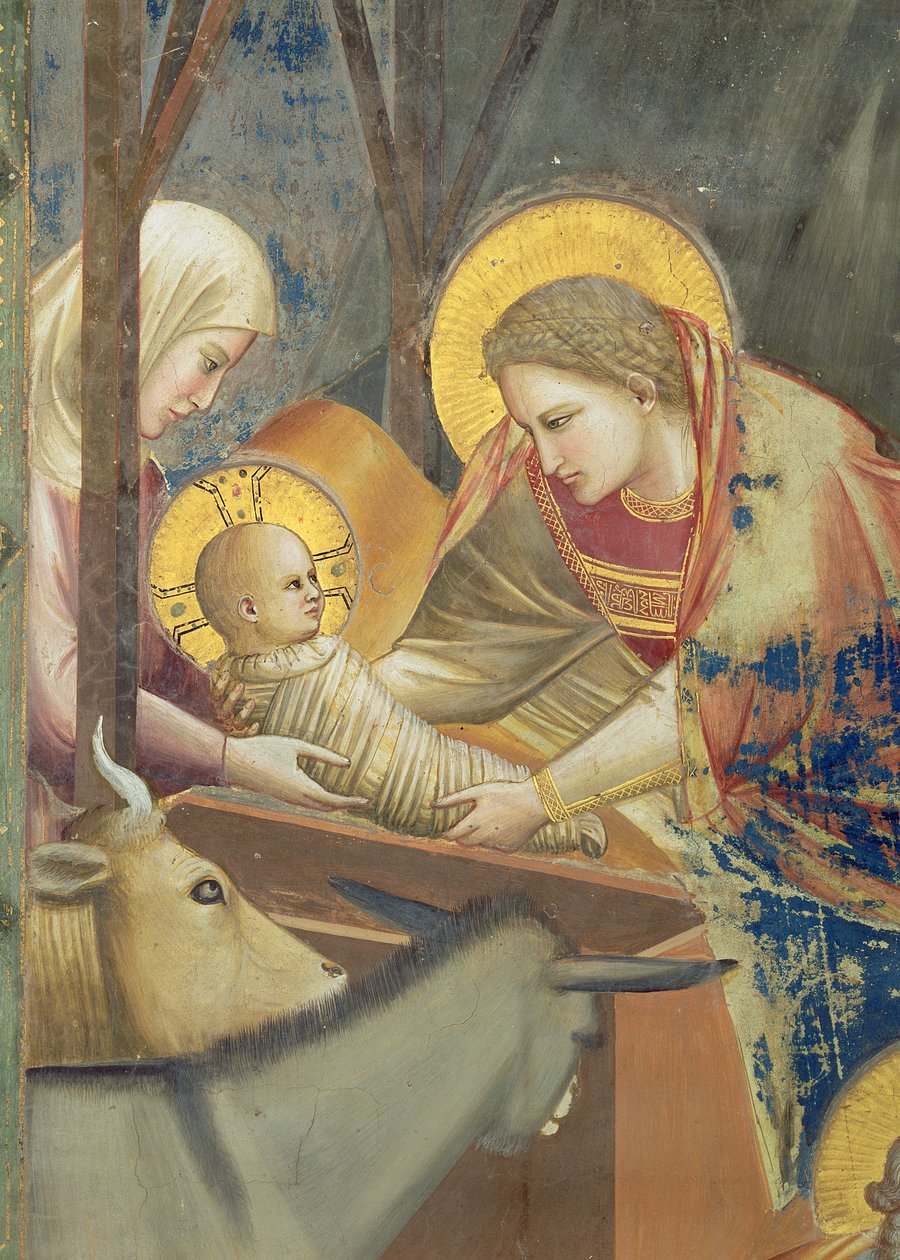 Födelsekyrkan, ca 1305 (fresco) (detalj av 65197) av Giotto (c.1266 1337)