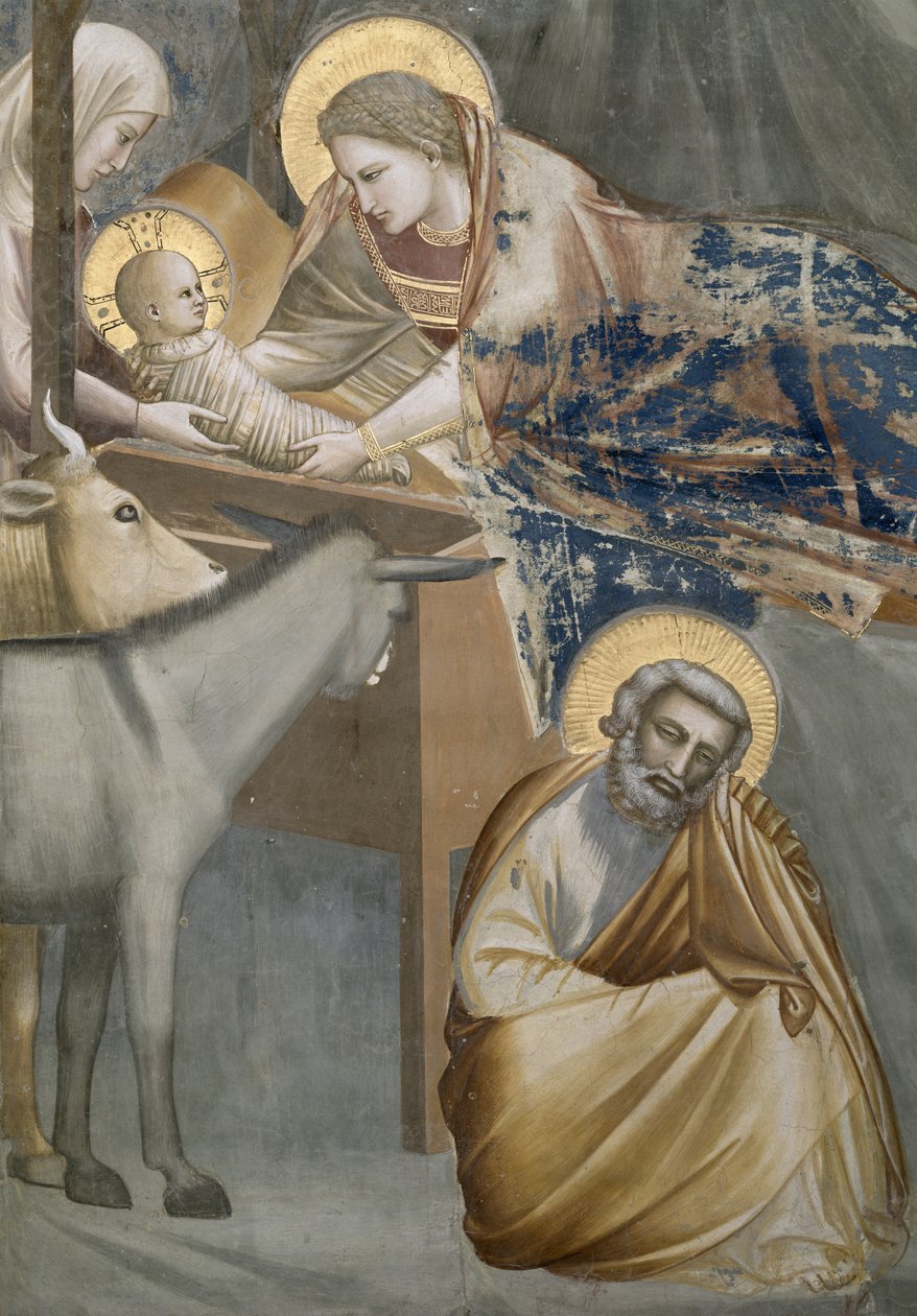 Födelsekyrkan, detalj av jungfrun och barnet, åsnan och Josef, 1303-05 (efter restaurering) av Giotto di Bondone