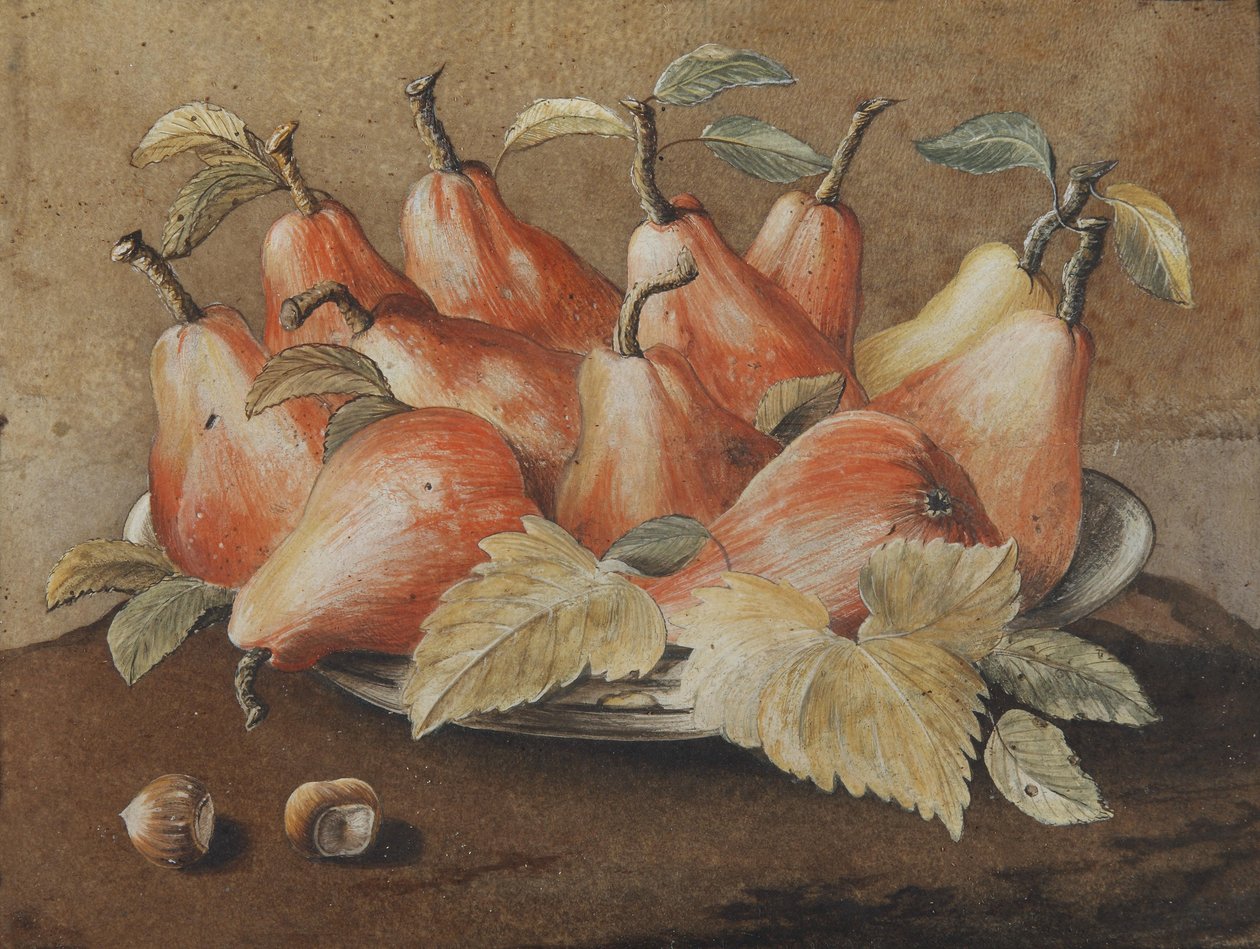Stillleben mit Birnen und Haselnüssen av Giovanna Garzoni