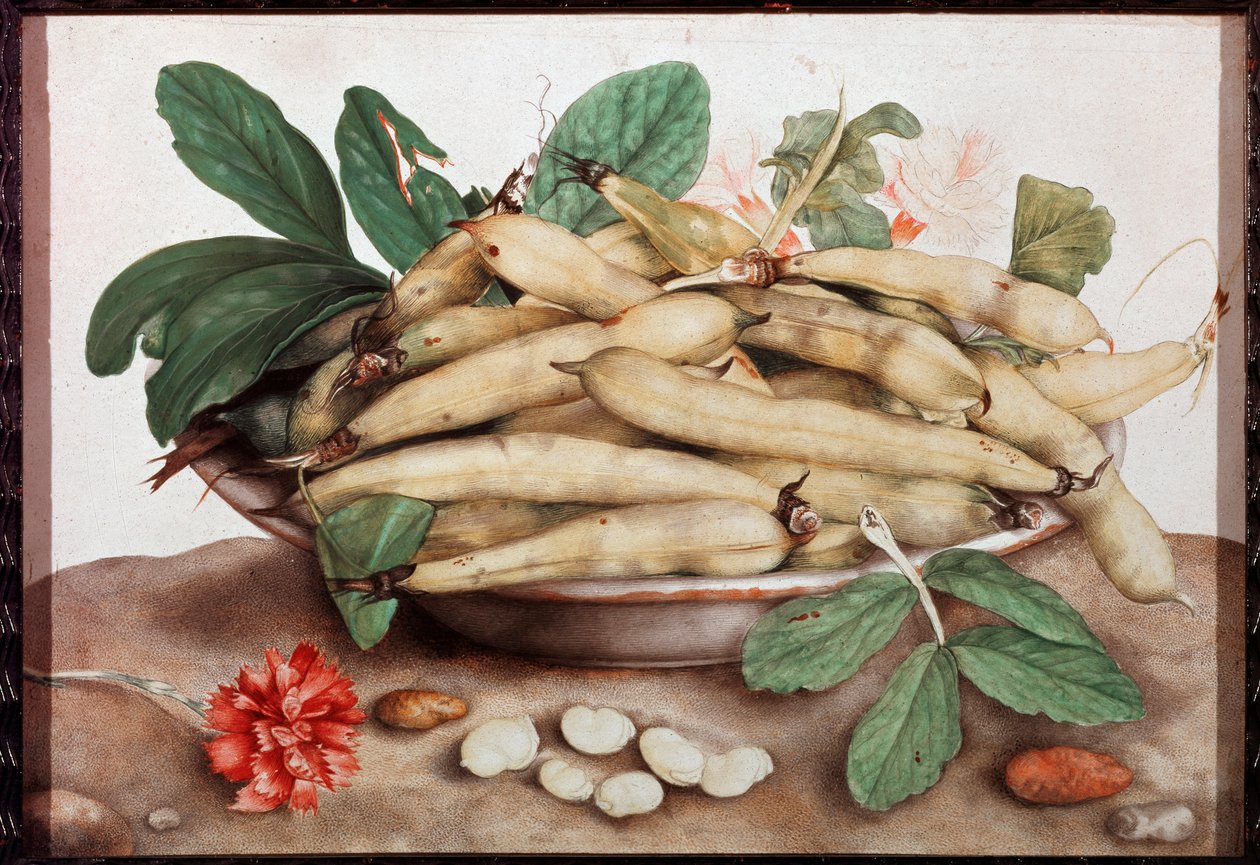 Stilleben med böntallrikmålning av Giovanna Garzoni (1600-1670) 1600-talets Florens. Palazzo Pitti. av Giovanna Garzoni