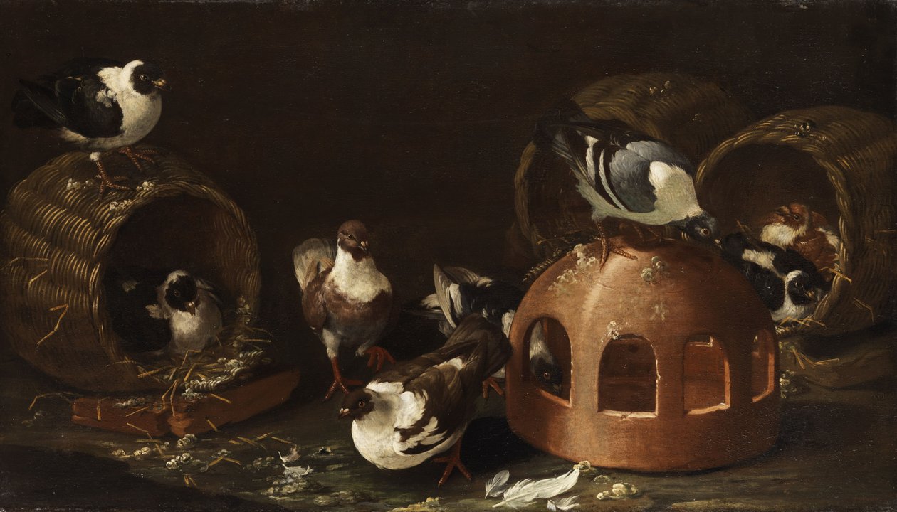 Tauben zwischen Futtertrog und Körben av Giovanni Agostino Cassana