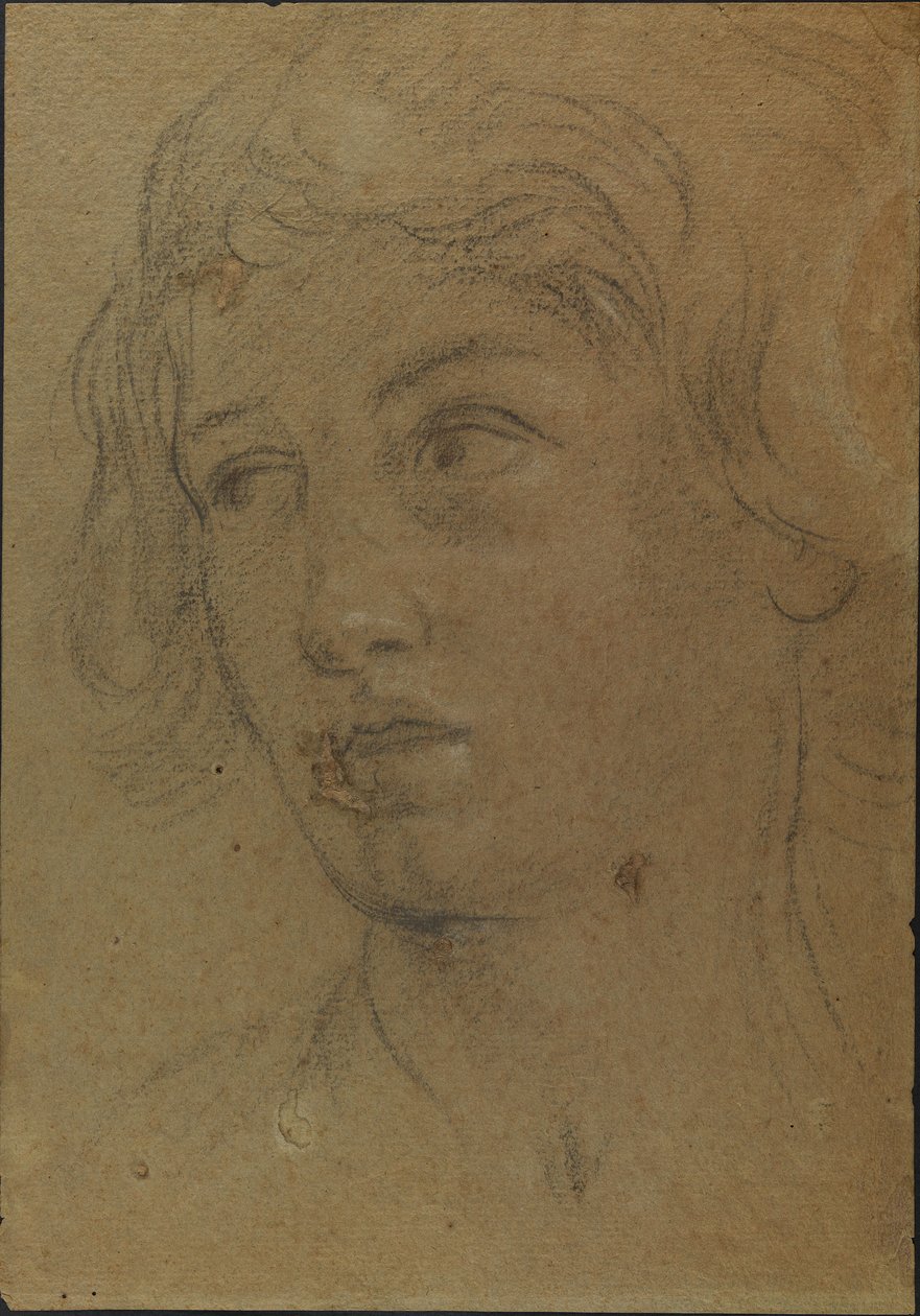 Head of a young man av Giovanni Andrea Sirani