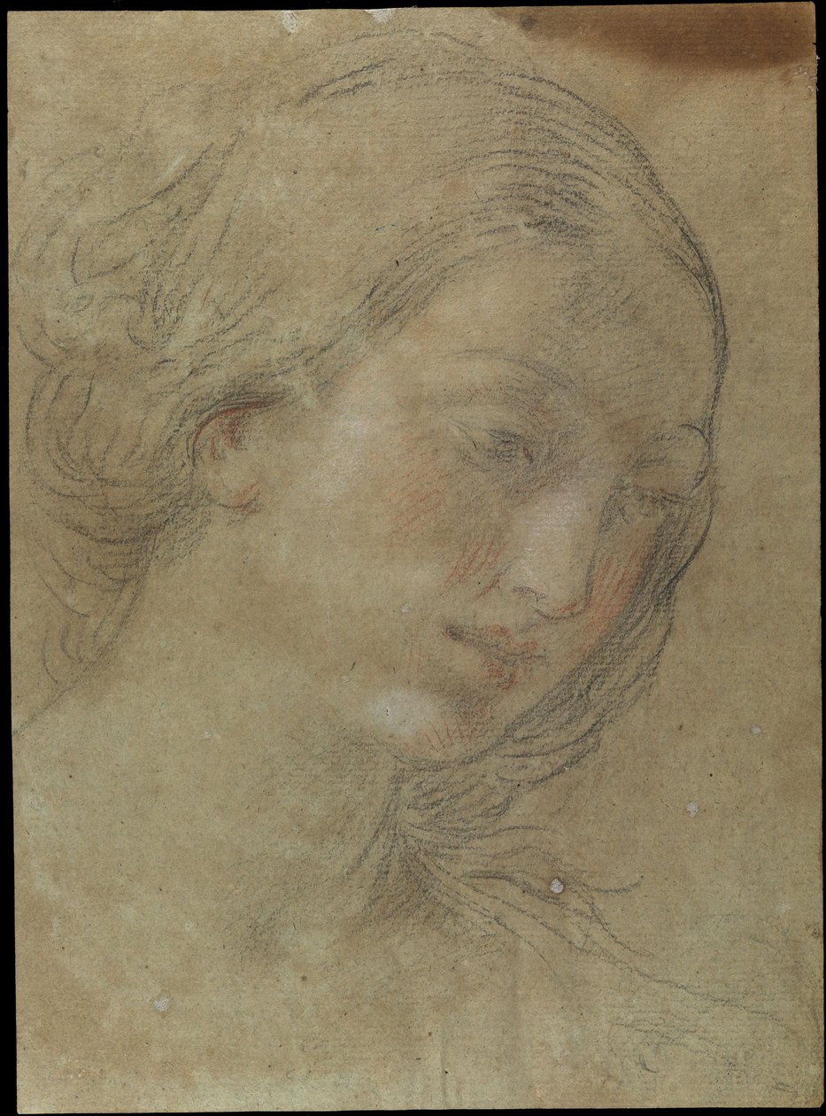 Head of a young woman av Giovanni Andrea Sirani