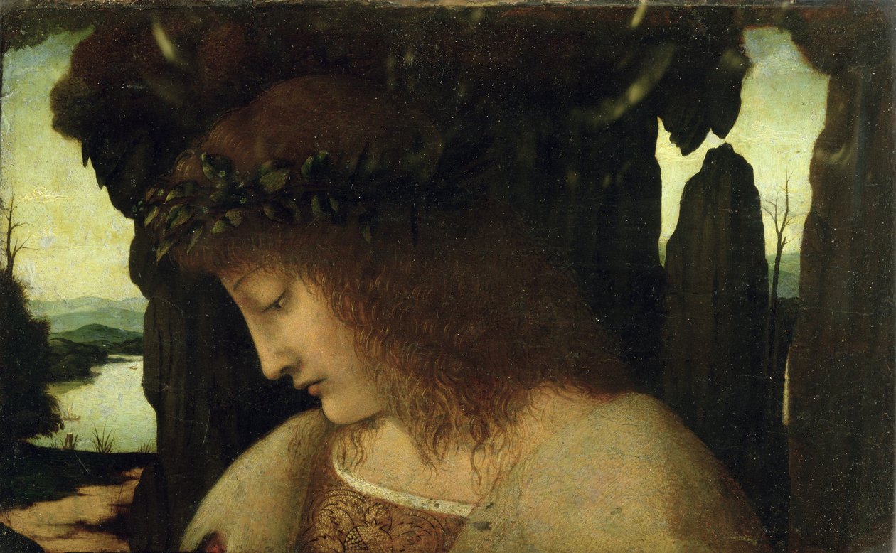 Narcissus vid fontänen av Giovanni Antonio Boltraffio