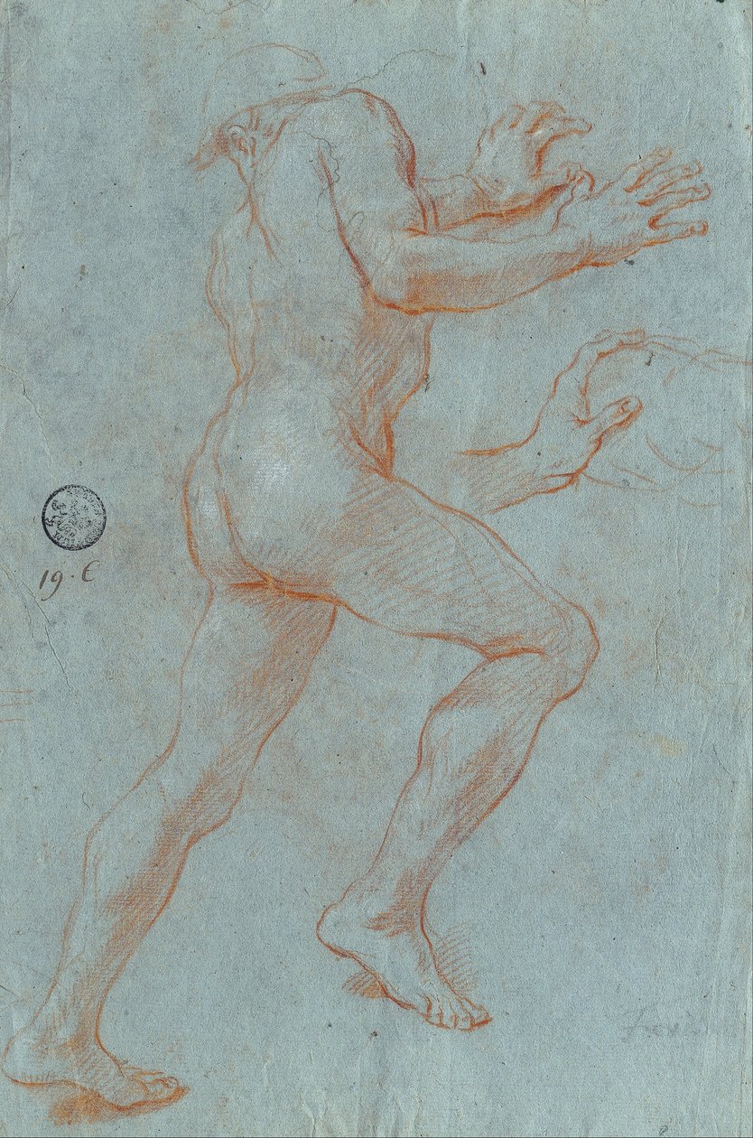 Studie av en manlig naken av Giovanni Antonio Grecolini
