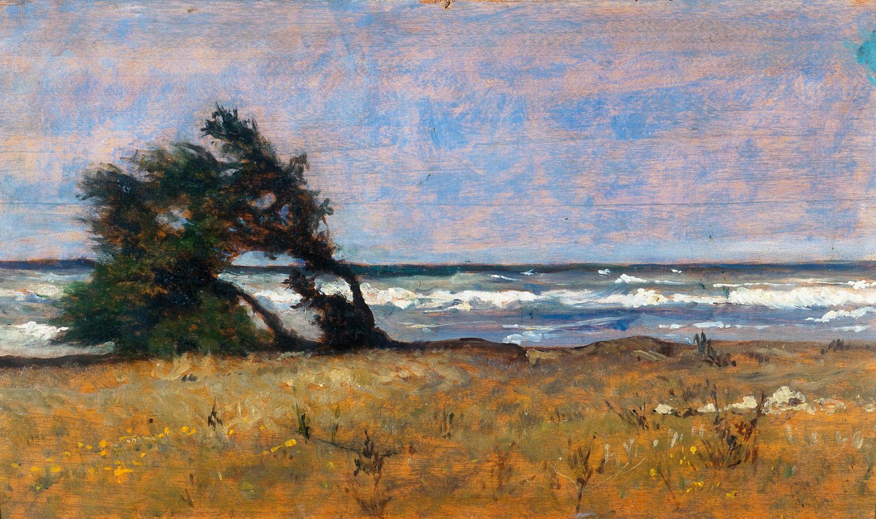Stormswed av Giovanni Fattori