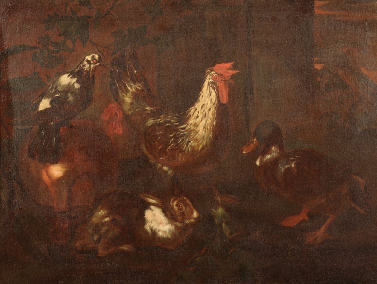 Volatili da cortile e conigli av Giovanni Francesco Cassana