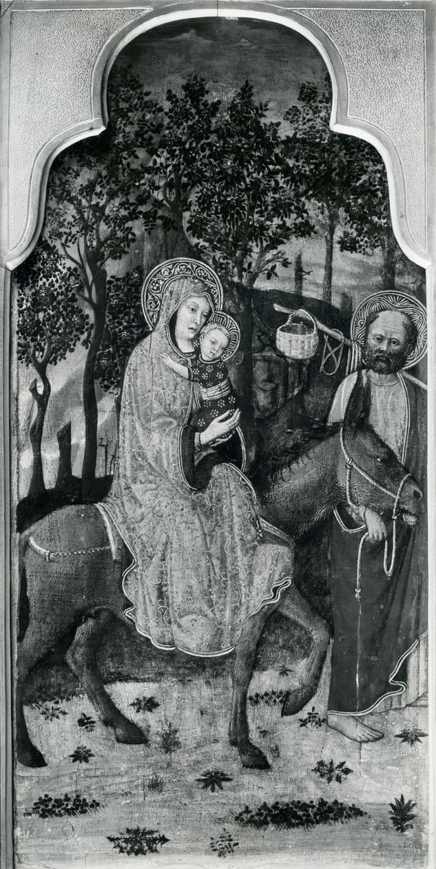 Cykel av Jungfruns liv, Flykten till Egypten, ca 1445 olja på poppelpanel svart foto av Giovanni Francesco da Rimini