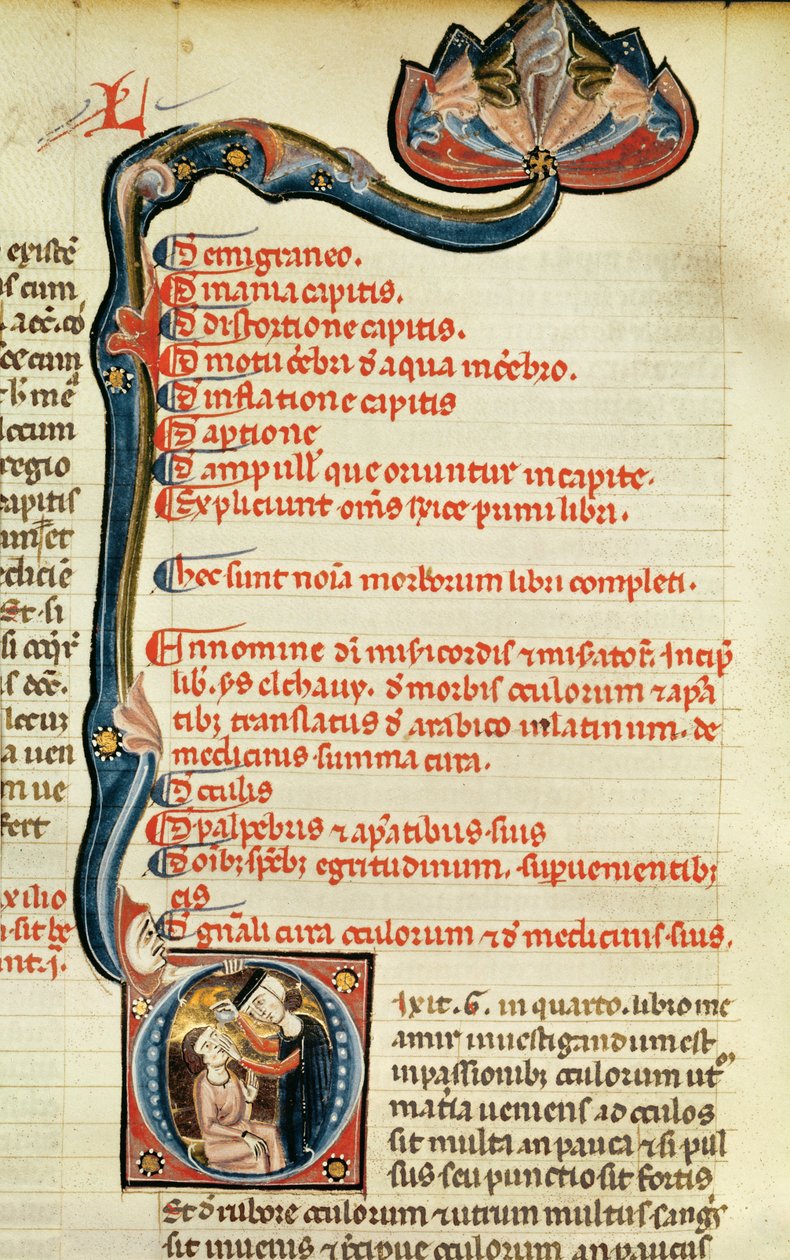 MS.Lat.6912 Illuminations från volym 2 av Rhazes kontinenter angående oftalmologi och ögonsjukdomar, 1282 av Giovanni da Monte Cassino
