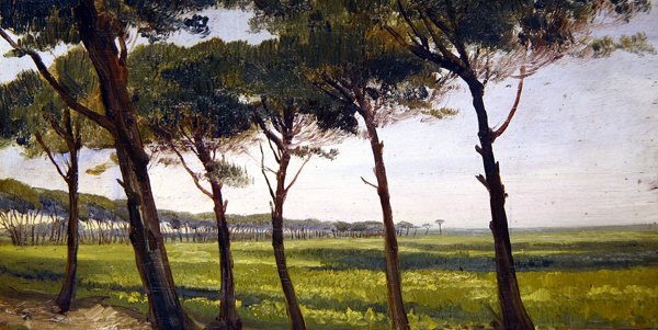 A Line of Old Pines (olja på panel) av Giovanni Costa