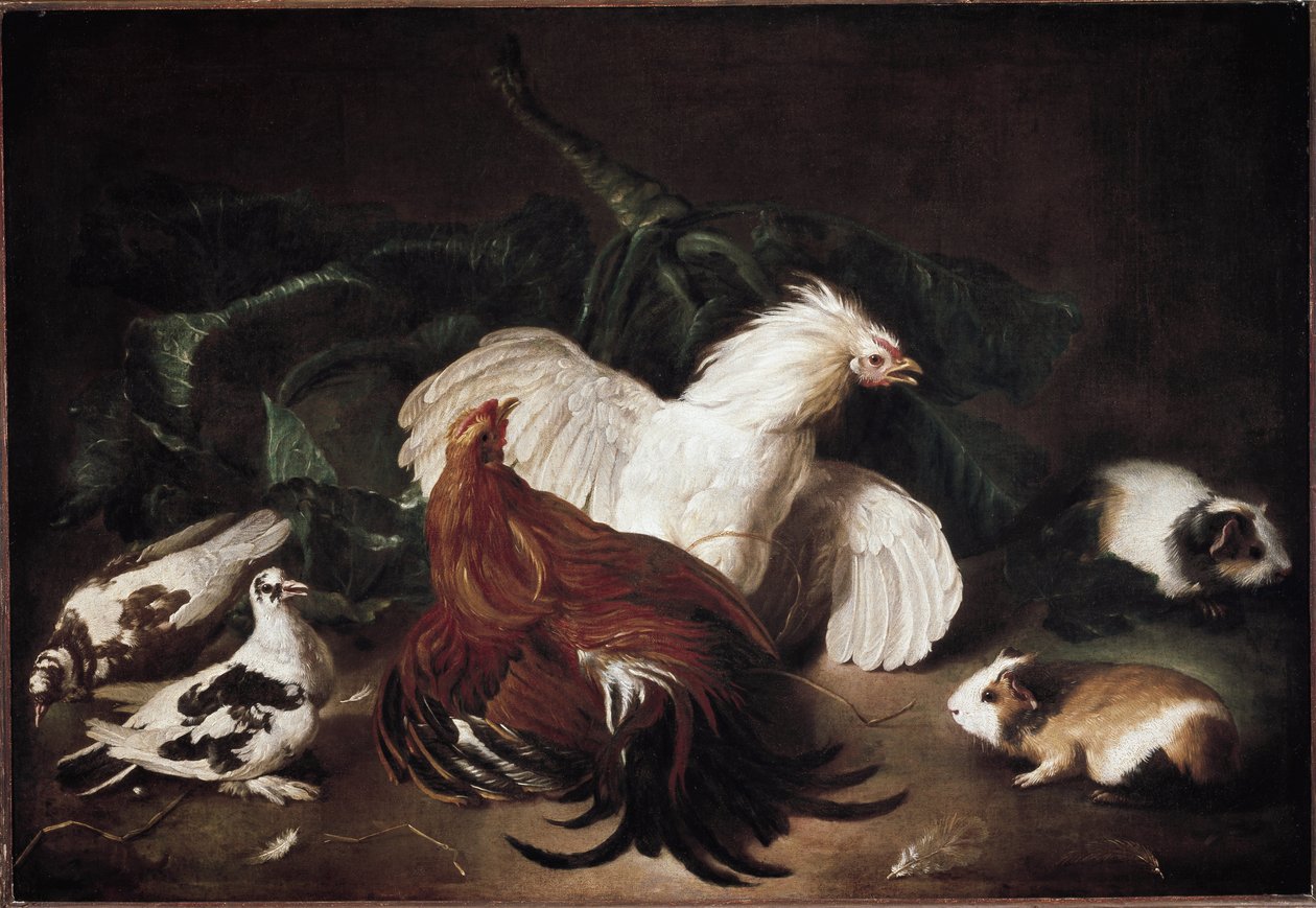 Stilleben med djur Höns och hamstrar (olja på duk av Giovanni Agostino Cassana