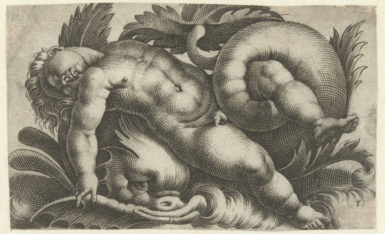 Sova putto på delfin Putti på havsdjur (serietitel) av Giovanni Andrea Maglioli