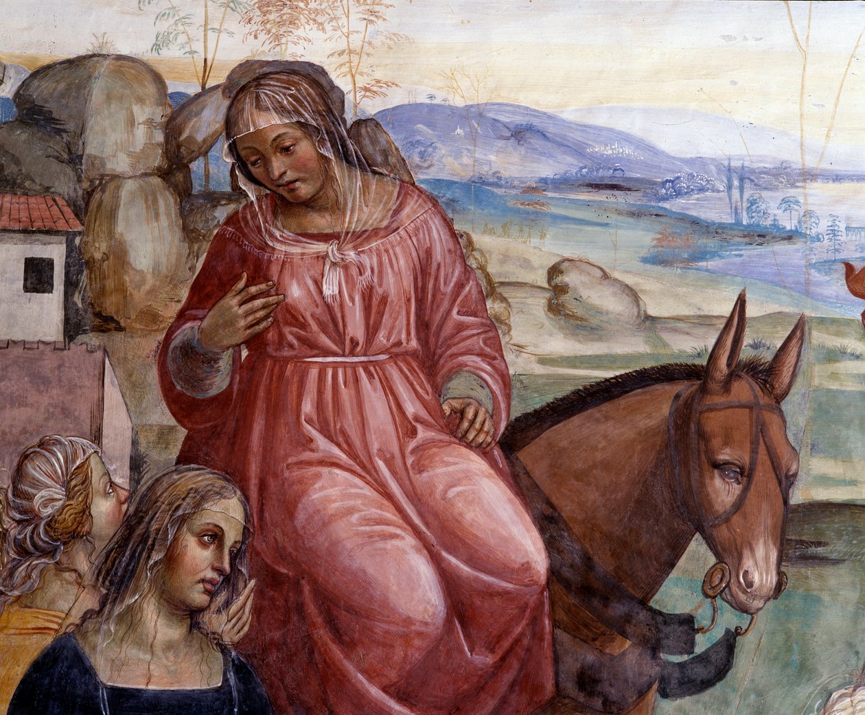 Benedict lämnade sin fars hus och åkte till Rom för att studera Detalj av Benoits tjänare, Cyrilla - Fresk av klosterbrodern realiserad av Antonio Bazzi dit il Sodoma (1477-1549) som berättar om livet för Sankt Benedictus av Nursia (480 - 567) grundare av  av Giovanni Antonio Bazzi Sodoma