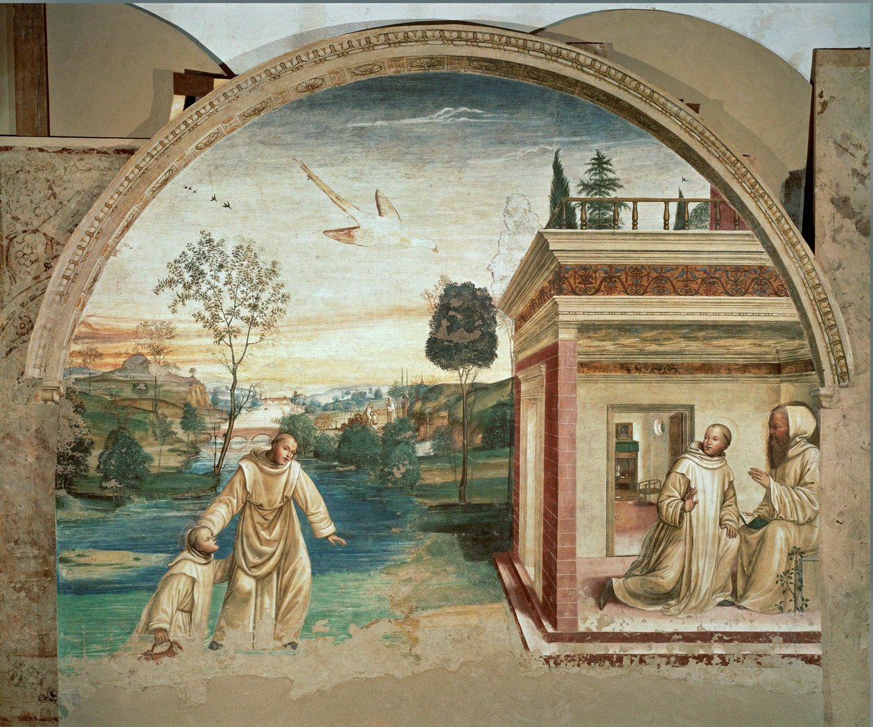 År 1497 började Signorelli måla Vita av Saint ... av Giovanni Antonio Bazzi Sodoma