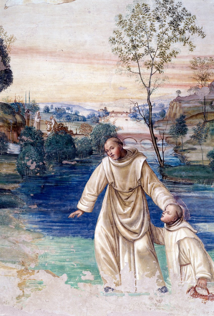 Maur går på vattnet för att rädda St Placid Detail Cloister fresk av Antonio Bazzi dit il Sodoma (1477 - 1549) som berättar om livet för Saint Benedict of Nursie (480 - 567) grundare av Benediktinerorden 1503 - 1508 Abbey of Monte Oliveto Maggiore, Florens av Giovanni Antonio Bazzi Sodoma