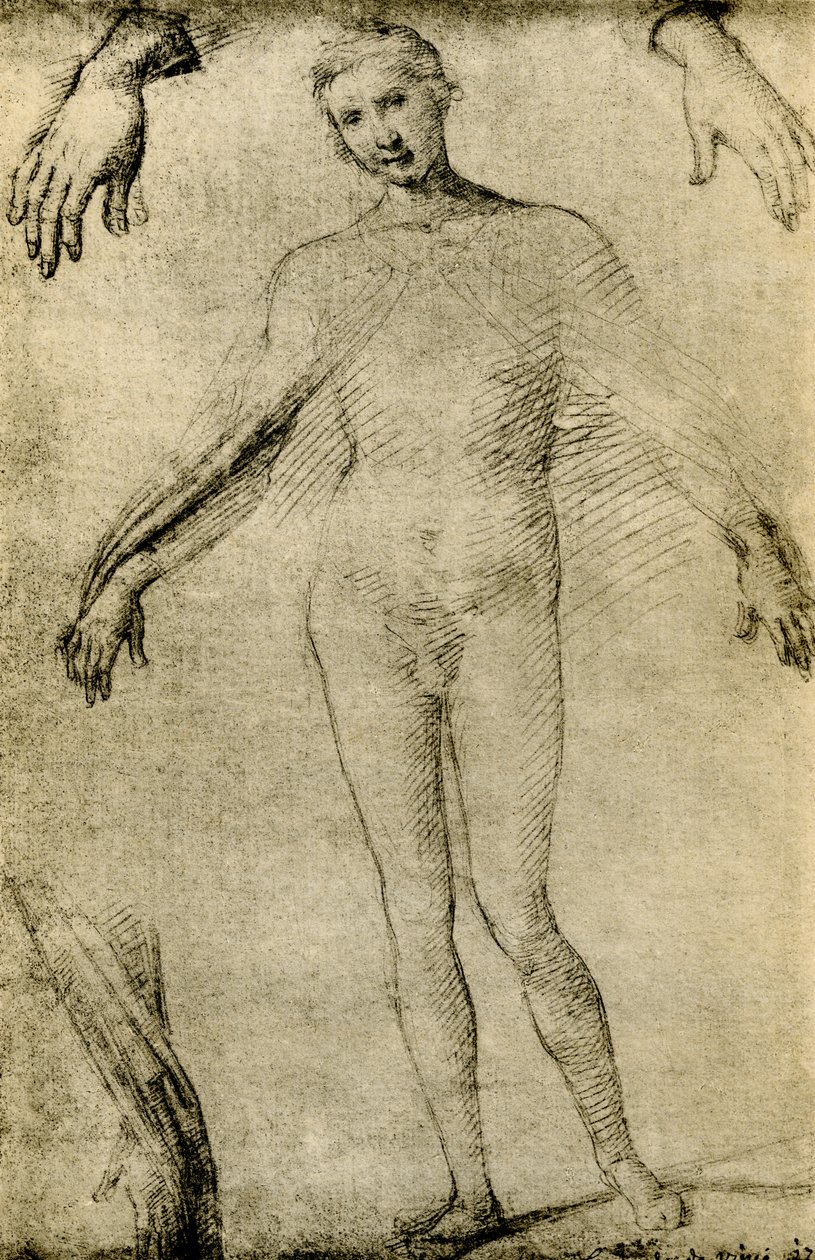 Modellstudie för en jungfru Maria som mater misericordiae av Giovanni Antonio Bazzi Sodoma