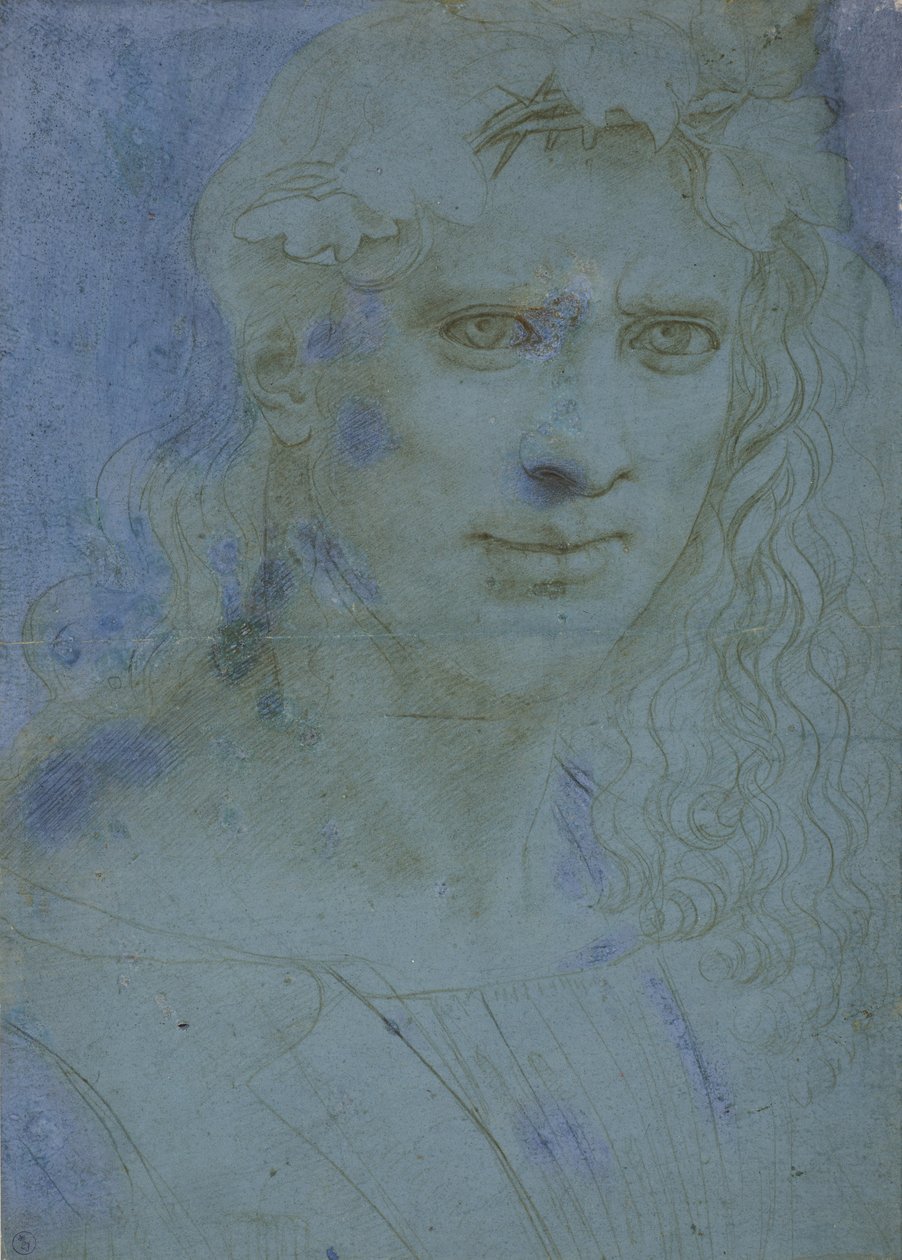 Byst av unga krönt med taggar och vinskott, ca. 1495 (metallspets på blått förberett papper) av Giovanni Antonio Boltraffio