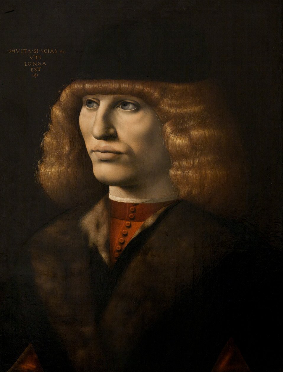 Porträtt av en ung man, ca 1500 (olja på panel) av Giovanni Antonio Boltraffio