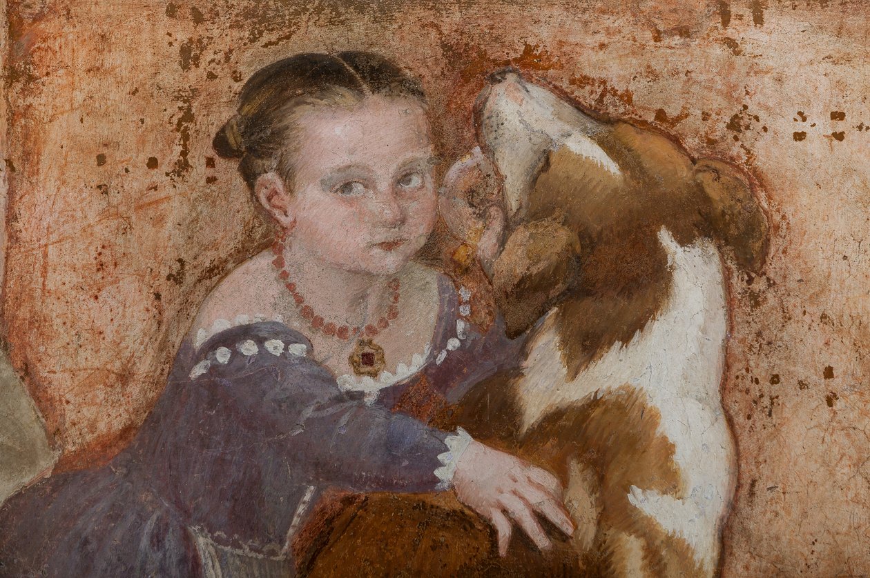 Liten flicka och hund, detalj av banketten, ca 1570 (fresk) av Giovanni Antonio Fasolo