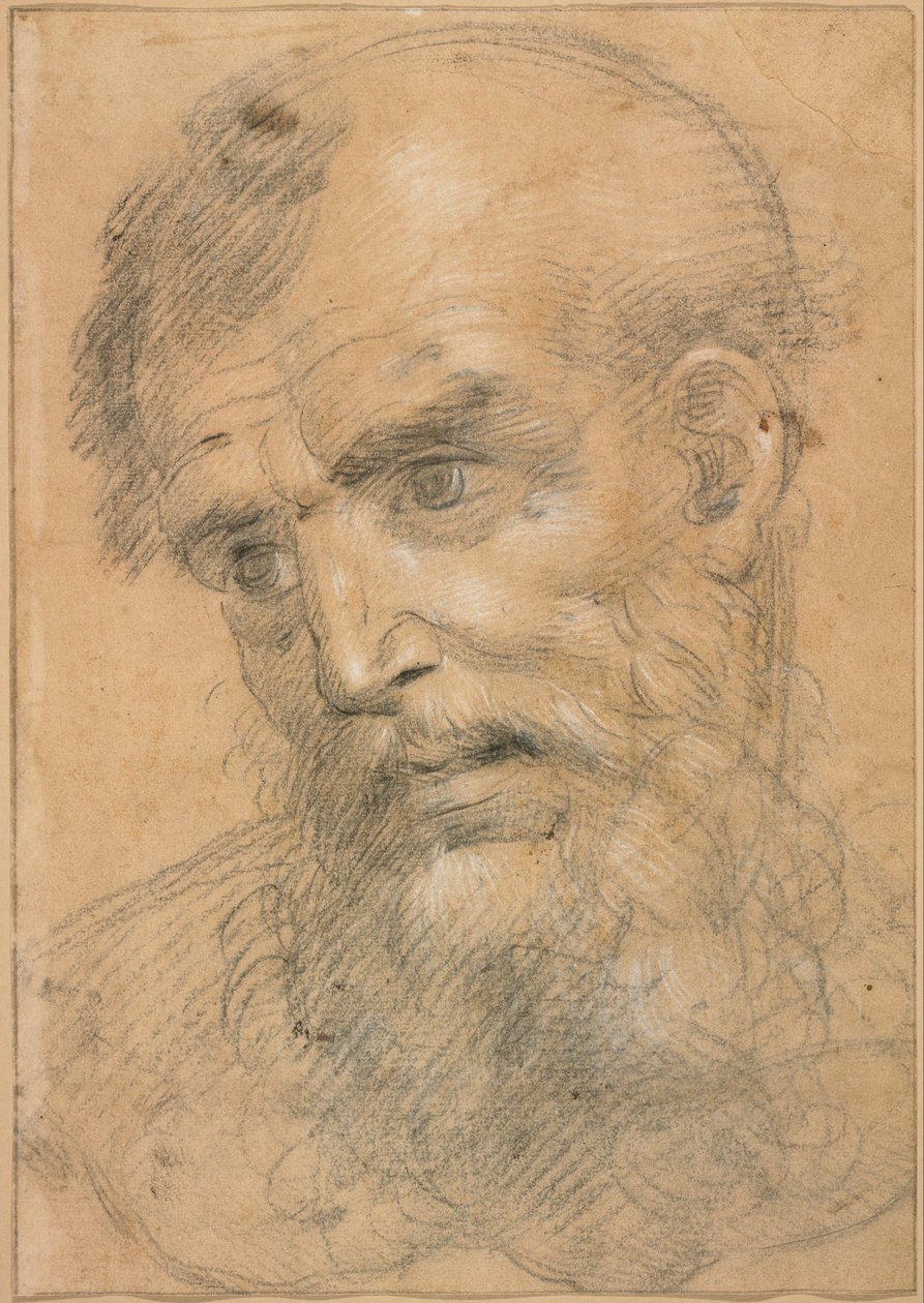 Huvud av en skäggig man (recto); Studie till en sakral konversation (verso) av Giovanni Antonio Sogliani