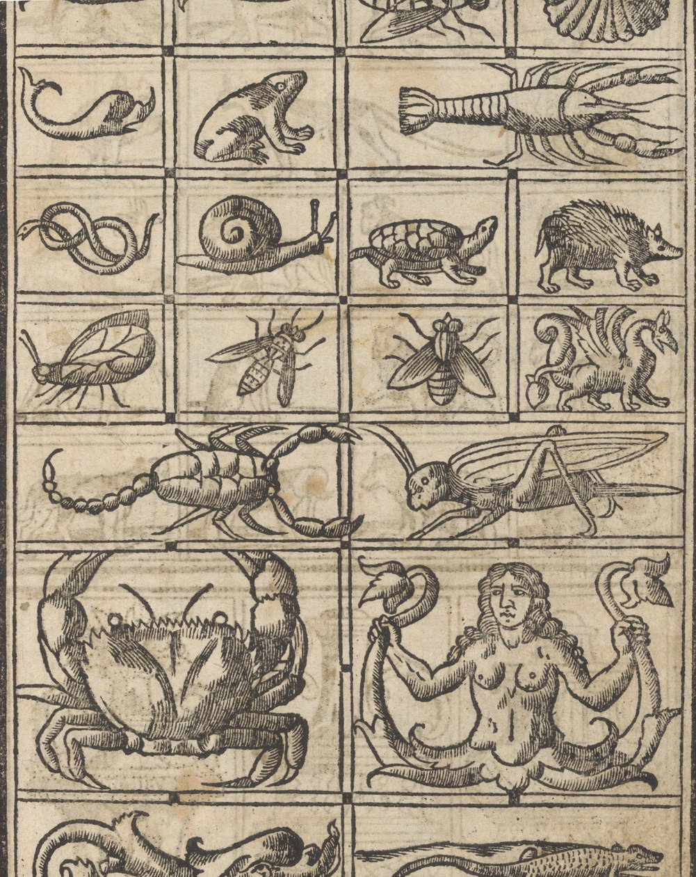Exempel på recammi, sidan 11 recto, 1530. av Giovanni Antonio Tagliente