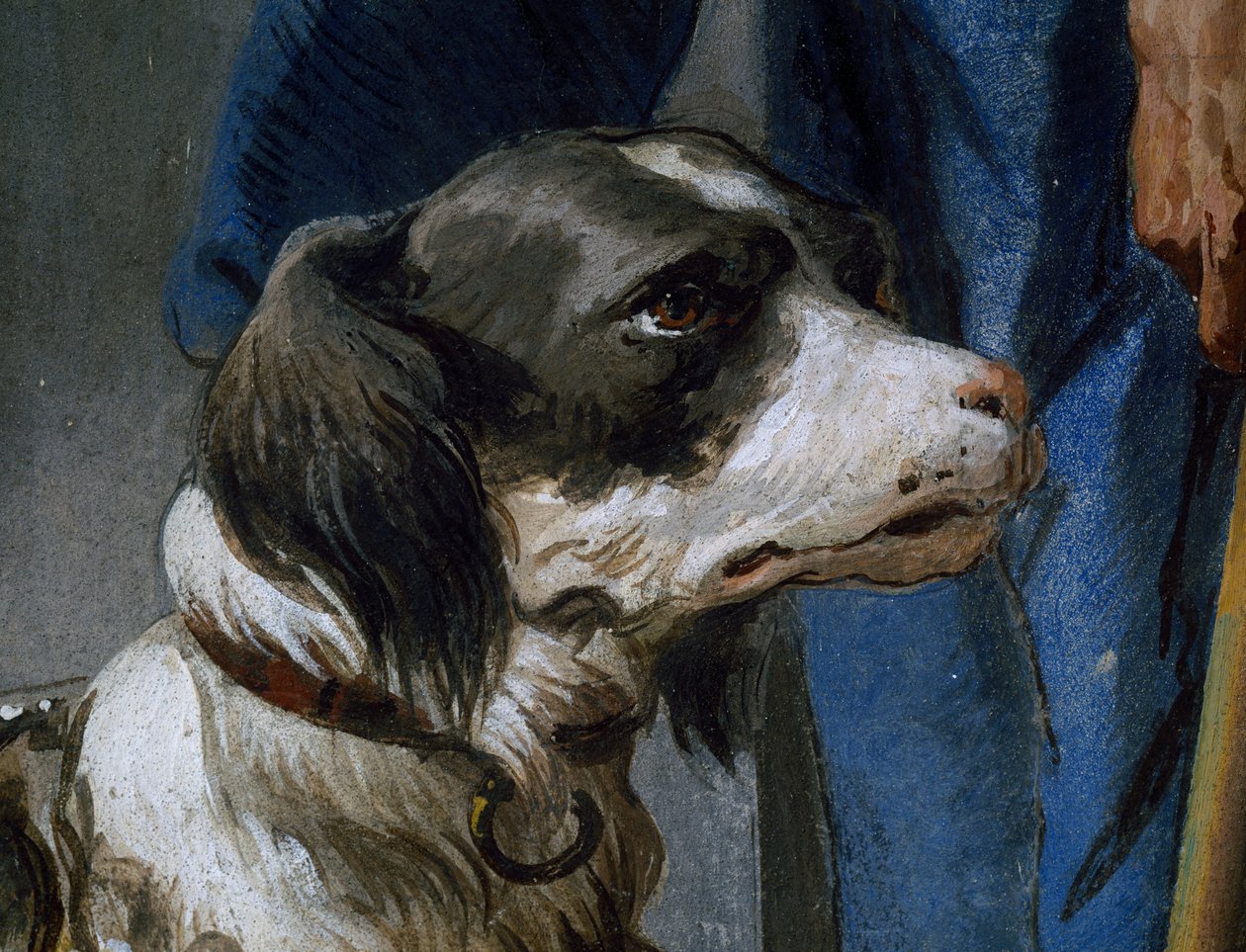 Dog Argo, detalj från fresk av Giovanni Battista Tiepolo (1696-1770) av Giovanni Battista Tiepolo