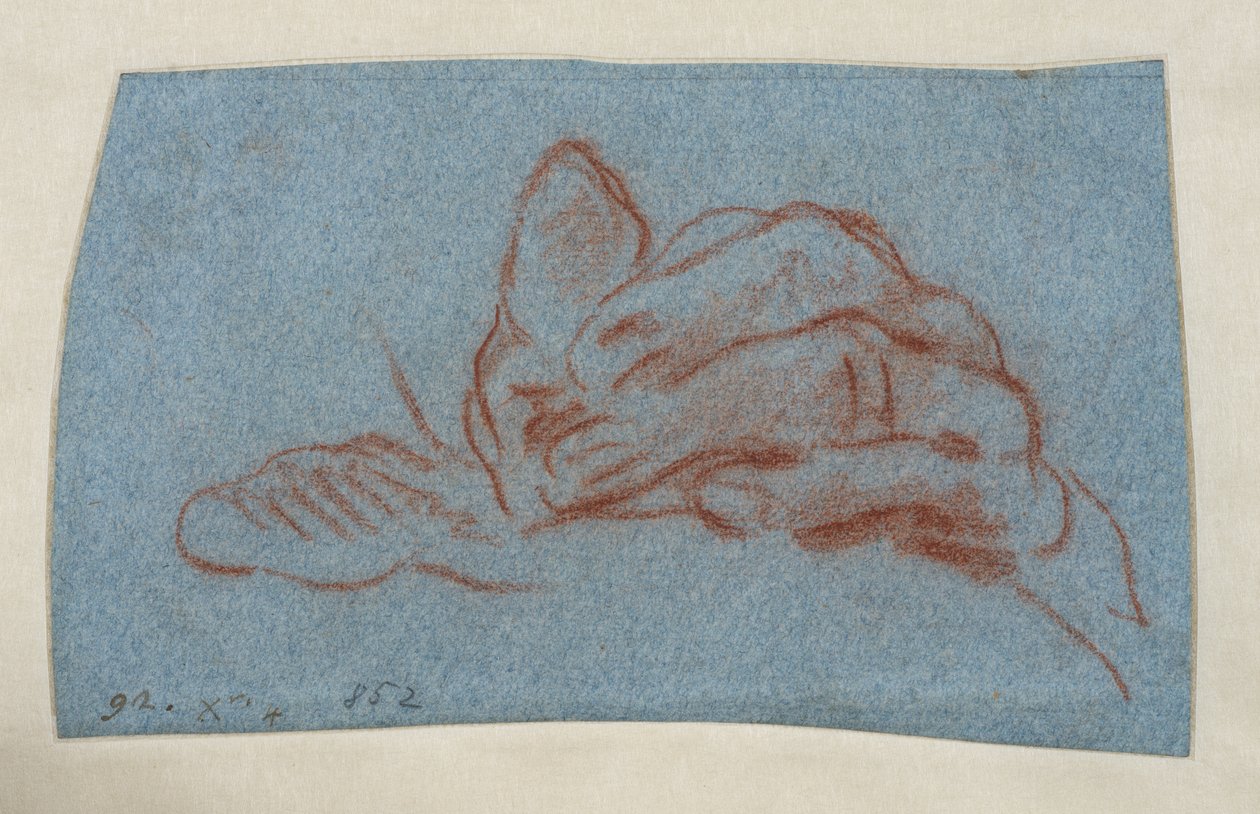 Studie av en vänsterhand, ca 1750-1754 (röd krita med stämpel på blått lagt papper) av Giovanni Battista (attr. to) Tiepolo